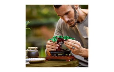 Lego Creator Expert Albero Bonsai - 10281