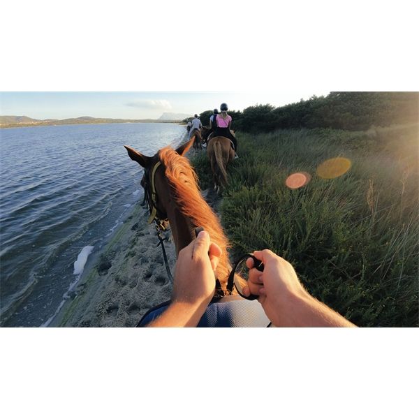 Head Strap 2.0 - GoPro - GPR.ACHOM-002