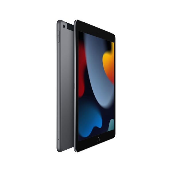 Ipad 9th 10.2\" Wi-fi + Cell 256gb Grigio Siderale - Apple - APP.MK4E3TY/A