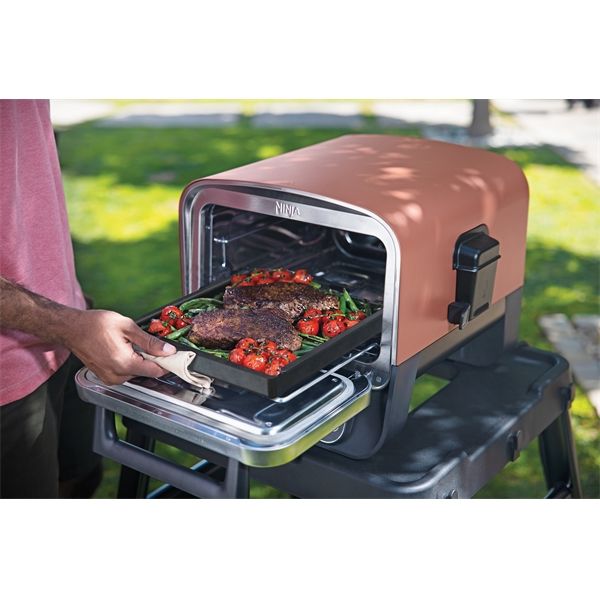 Vassoio In Ghisa Per Forno Elettrico Ninja Woodfire - Ninja - NNJ.XSKOOCIRNPEUK