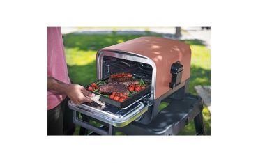 Vassoio In Ghisa Per Forno Elettrico Ninja Woodfire - Ninja - NNJ.XSKOOCIRNPEUK