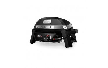 Barbecue Elettrico Weber Q 2400 - 55020053