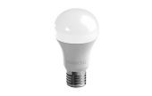 Lampadine e Proiettori Led