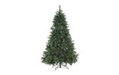 Natale